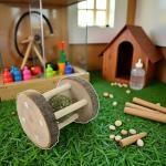 Natural Wood Chew Toy for Small Pets