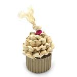 Oxbow Celebration Cupcake Toy for Small Pets