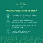 Oxbow Celebration Cupcake Toy for Small Pets