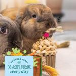 Oxbow Celebration Cupcake Toy for Small Pets