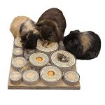 Rosewood Maze-a-Log Puzzle Toy for Small Pets