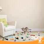YULOYI 34-Pack Interactive Cat Toy Set