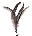 EcoCity Natural Cat Feather Toys with Wand