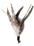 EcoCity Natural Cat Feather Toys with Wand