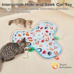 Interactive Hide and Seek Cat Toy with Feather