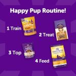 Natural Grain-Free Soft Puppy Treats with Lamb & Salmon