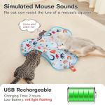 Interactive Hide and Seek Cat Toy with Feather