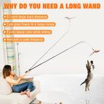 JXFUKAL 2-in-1 Spring Cat Wand Toy Set