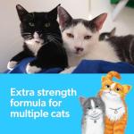 Fresh Step Clumping Cat Litter with Charcoal, 14 lb