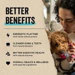 Vital Essentials Freeze-Dried Beef Liver Dog Treats