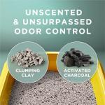 Tidy Cats Unscented Cat Litter 38 lb Box