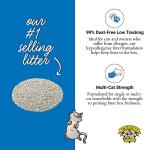 Dr. Elsey's Ultra Unscented Clumping Cat Litter