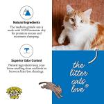Dr. Elsey's Ultra Unscented Clumping Cat Litter