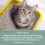 Tidy Cats Unscented Cat Litter 38 lb Box