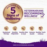 Wellness Complete Health Grain Dog Food, Chicken & Oatmeal