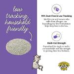 Dr. Elsey's Clean Tracks Clumping Cat Litter 40 lb