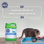 Cat's Pride Antibacterial Clumping Cat Litter - 12 lbs