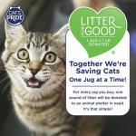 Cat's Pride Antibacterial Clumping Cat Litter - 12 lbs