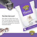 Dr. Elsey's Clean Tracks Clumping Cat Litter 40 lb