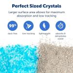 ScoopFree Premium Crystal Cat Litter Bundle