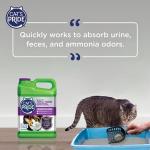 Cat's Pride Max Power Multi-Cat Litter 15 lbs