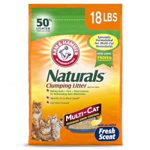 ARM & HAMMER Clumping Cat Litter, Odor Control