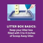Scoop Away Multi-Cat Clumping Litter, Meadow Fresh