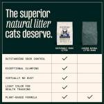 Eco-Friendly Small-Grain Cat Litter 10 lbs