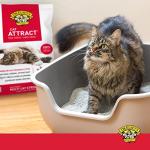 Dr. Elsey's Cat Attract Clumping Cat Litter 18 lb