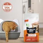 Best Unscented Cat Litter - Low Dust & Clumping