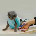 Cat Nail Clipping Grooming Restraint Bag with Muzzle