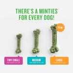 Minties Vet-Recommended Dental Chews for Small Dogs