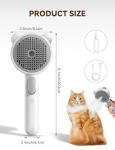 Cat Steam Brush with Dual Speed Spray