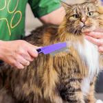 Yumflan Flea Comb with Rubber Handle for Pets