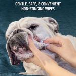 Pet MD Cleansing Wipes with Aloe for Pets