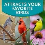 No Mess Wild Bird Food for Feeders - 10 lbs