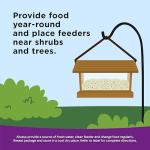 Kaytee Nut & Fruit Wild Bird Seed Mix