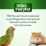 Wild Harvest Daily Blend for Small Birds 2 lbs