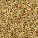 Kaytee Forti-Diet Egg-Cite Bird Food, 5 lbs