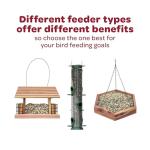 Kaytee Nut & Fruit Seed Treat Bell for Birds