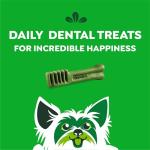 Greenies Teenie Dental Dog Treats, 12 oz