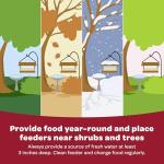 Kaytee All American Wild Bird Seed Blend, 5lb