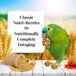 Nutri-Berries Bird Food for Parrots, 3.25 lb