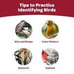 Kaytee Nut & Fruit Seed Treat Bell for Birds