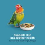 Kaytee Forti-Diet Conure & Lovebird Food, 4 lb