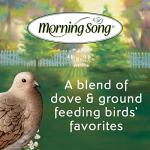 Morning Song Dove & Quail Bird Food Mix