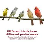 Kaytee Nut & Fruit Seed Treat Bell for Birds