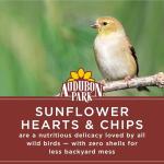 Audubon Park No-Mess Sunflower Hearts Bird Food