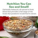 Dr. Harvey's Wholesome Parakeet Food Blend