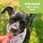 Buddy Biscuit Softies Chicken Flavor Dog Treats